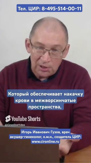 Ремоделирование спиральных артерий. И.И. Гузов. смотреть онлайн