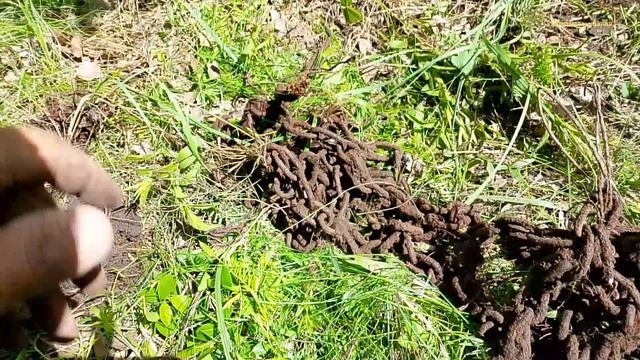 Наконец-то на Отдых, на поиски металла. смотреть онлайн