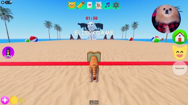 НАШЛА СИГМА-КОТА В РОБЛОКС! САМЫЙ КРУТОЙ КОТИК ! Kitten Game смотреть онлайн