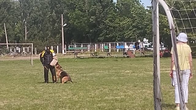 OHRA Bright Yard - №36. КЧК КРАСНОДАР 24 мая`25 Н.Морева Моно нем.овч.