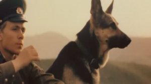 Пограничный пёс Алый . Клип на фильм.