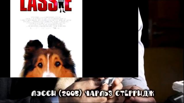 Топ  10 лучших фильмах о собаках