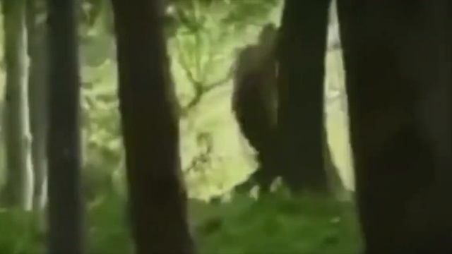 СТРАШНЫЕ ВИДЕО СПОСОБНЫЕ НАПУГАТЬ ЛЮБОГО 2021 смотреть онлайн