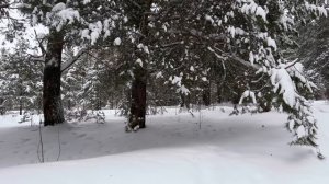 Часть 7. Егор начинает читать метки