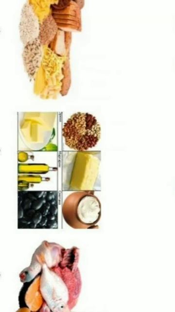 Белки — строительный материал для организма смотреть онлайн