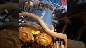 Шевроле круз, замена прокладки масляного насоса и ГРМ.