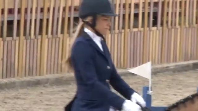 Конкур-2014 смотреть онлайн