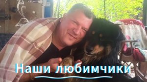 Любим и балуем их 😄❤️