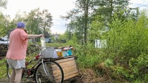 Новая информация.