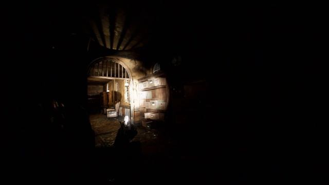 BODYCAM: РЕЖИМ ЗОМБИ