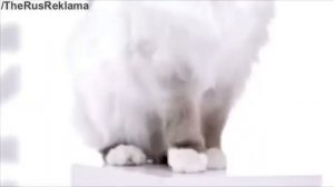 Реклама Перфект Фит Хаир Бьюти - Не надо оваций