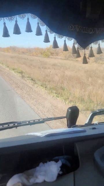 Уйга йол, Барнаул-Ташкент мдф олдик 01.10.2024 смотреть онлайн