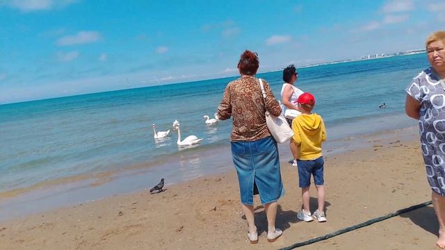 25.06.01 1 смотреть онлайн