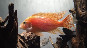 ПОХОД В МОСКВАРИУМ