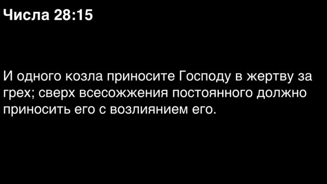 Числа, глава 28 смотреть онлайн