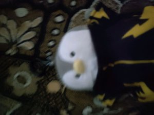 обзор на пингвина с костюмом из аниме