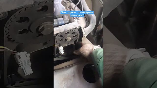 ГРМ РЕМЕНЬ. #car #chevrolet #auto #automobile #дэу #ремонт #nexia #engine #daewoo смотреть онлайн