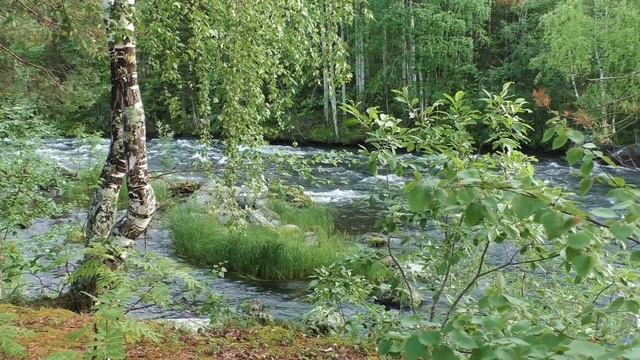 Чересполосье (песня под гитару) смотреть онлайн
