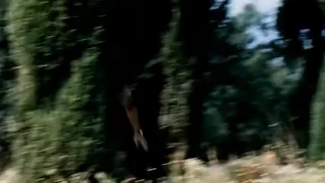 Опекун (1970) смотреть онлайн