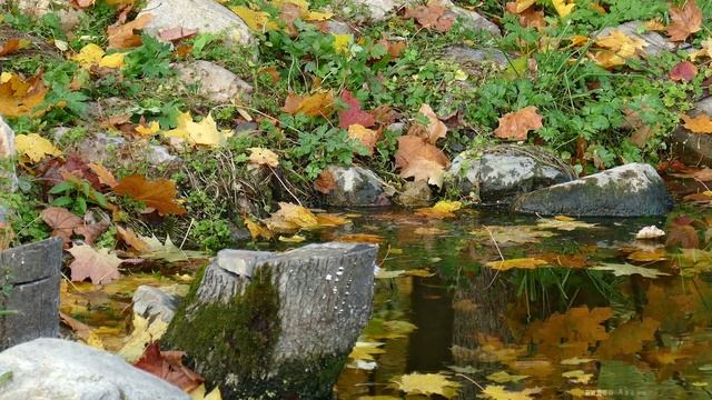 ОСЕННЯЯ ИСТОРИЯ смотреть онлайн