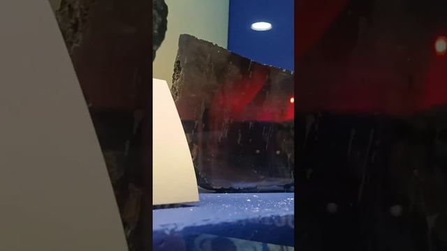 МЕТЕОРИТЫ (ПЛАНЕТАРИЙ г. САНКТ - ПЕТЕРБУРГ) смотреть онлайн