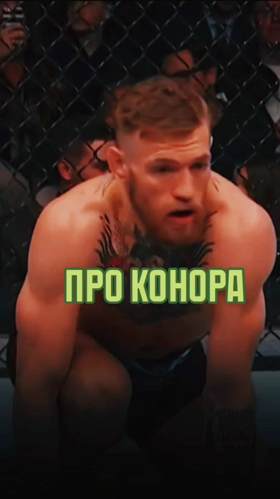 Конор Арсен Маркарян #арсенмаркарян #база #мужскиеценности #базаарсенамаркаряна смотреть онлайн