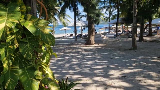 Пляжи без ВОЛН в Нячанге! Нячанг 2025 смотреть онлайн