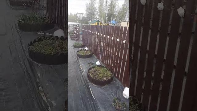 Дача смотреть онлайн