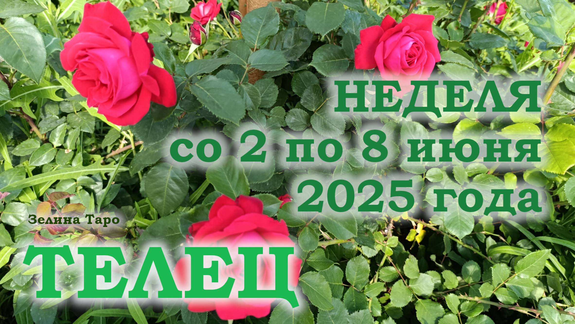 ТЕЛЕЦ | ТАРО прогноз на неделю со 2 по 8 июня 2025 года