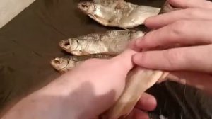 🐟КАК ПРАВИЛЬНО ЧИСТИТЬ ВЯЛЕНУЮ ВОБЛУ ПО АСТРАХАНСКИ?