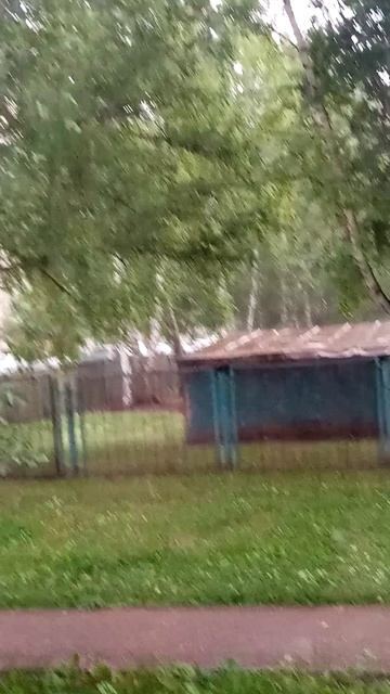 Дождь первый