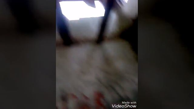 клип green day Holiday