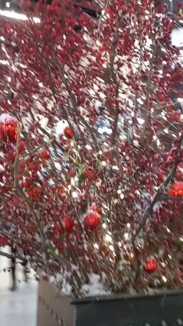 Самара. Гигантские шары. Космопорт. Торговый центр. смотреть онлайн