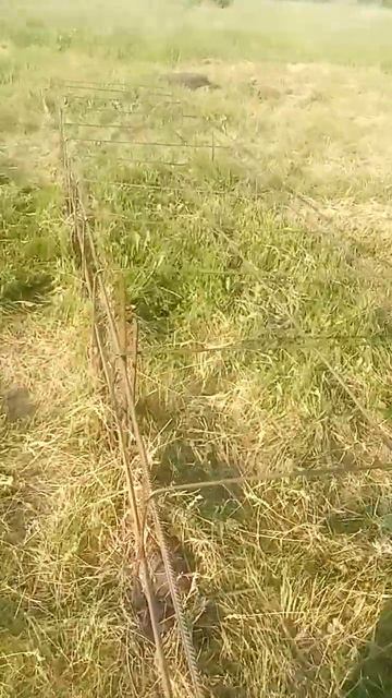 вязка арматуры на опалубку, армокаркас смотреть онлайн