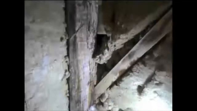 Что будет с домом менее чем за год, если СЫРАЯ доска в к смотреть онлайн