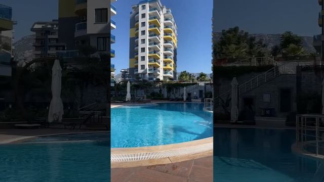 Nataly Masters в прямом эфире! Прилетела за котиком! смотреть онлайн