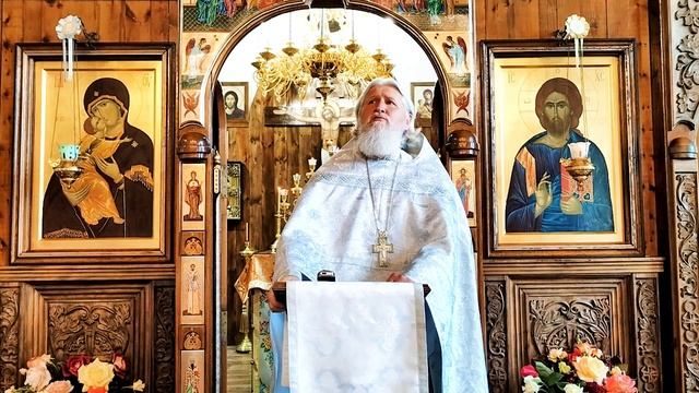 проповедь на свв. отцев 1 Вселенского Собора (нед 7 по Пасхе) смотреть онлайн