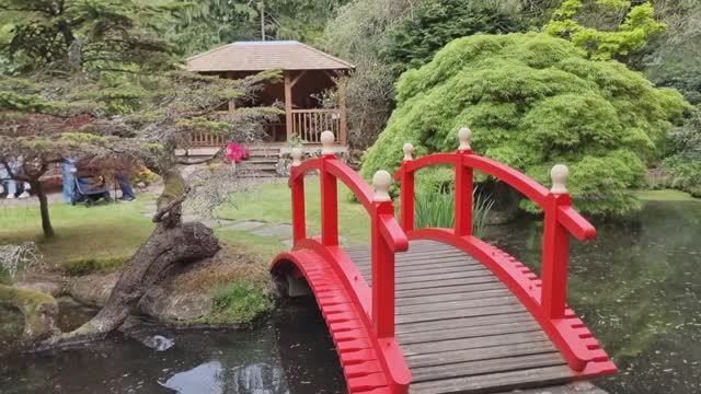 САДЫ АНГЛИИ. КЛАССИЧЕСКИЙ ЯПОНСКИЙ САД В ЛОНДОНЕ Kingston upon Thames 2025. смотреть онлайн