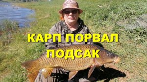 КАРП порвал ПОДСАК! Ловим КАРПА на ДИКАРЕ! #рыбалка #карп #карпнапоплавок #карпфишинг #carpfishing