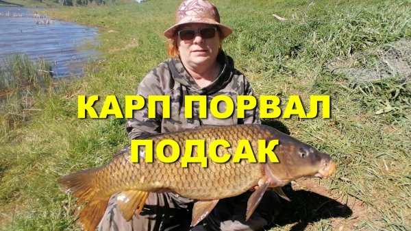 КАРП порвал ПОДСАК! Ловим КАРПА на ДИКАРЕ! #рыбалка #карп #карпнапоплавок #карпфишинг #carpfishing