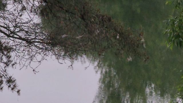 Лето 2025 года