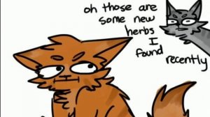 Коты Воители "приколы для подкола" #2