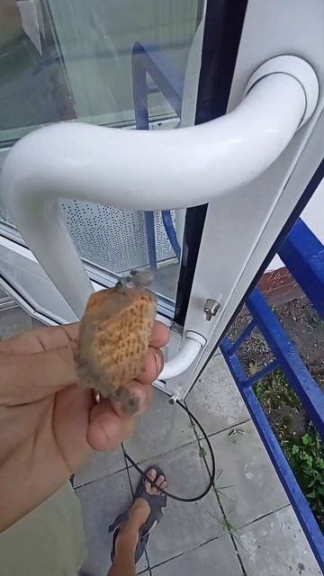 Чудо рихтовочные пластины 2.0 Новинка оконного рынка. Ч смотреть онлайн