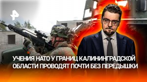 "Бравые кабаны": учения НАТО прошли у границ Калининградской области / ДОБРОВЭФИРЕ