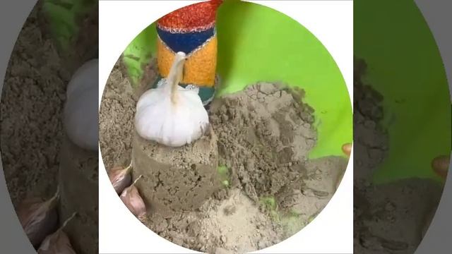 Модель фондового рынка в песочнице (2/2) смотреть онлайн