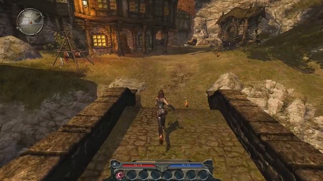 Прохождение Divinity II: Developer's Cut. Часть 1. Встречи в Светлом.