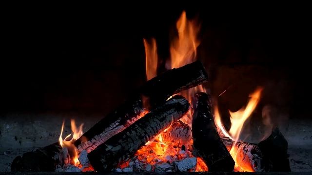 S.T.A.L.K.E.R. Anomaly 1.5.1 Redux 1.1 (День 87 Первый взгляд на "Припять смотреть онлайн