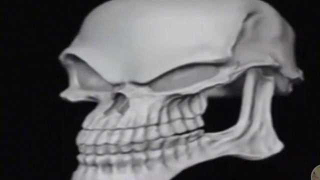 RYTP ТРИ КОТА