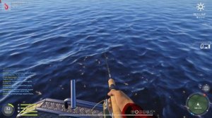 Палия Кряжевая РР4 (Без Вэки)