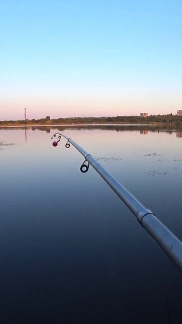 На пенопласт #рыбалка #карась #shorts смотреть онлайн